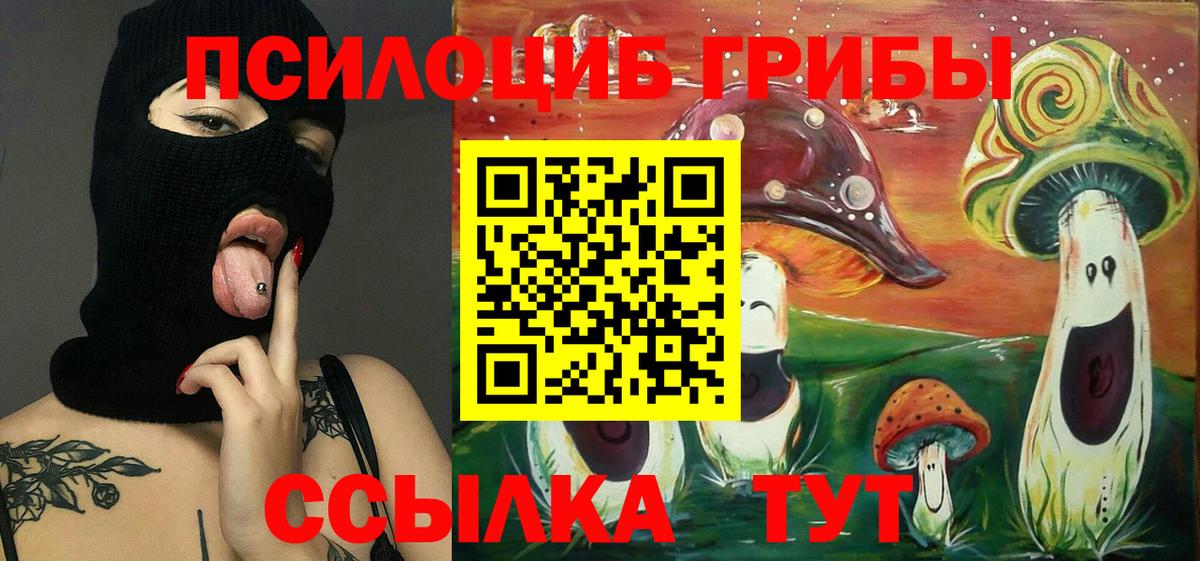Галлюциногенные грибы MAGIC MUSHROOMS  Псилоцибиновые грибы Cubensis  Вход с VPN  как найти наркотики  Выборг 